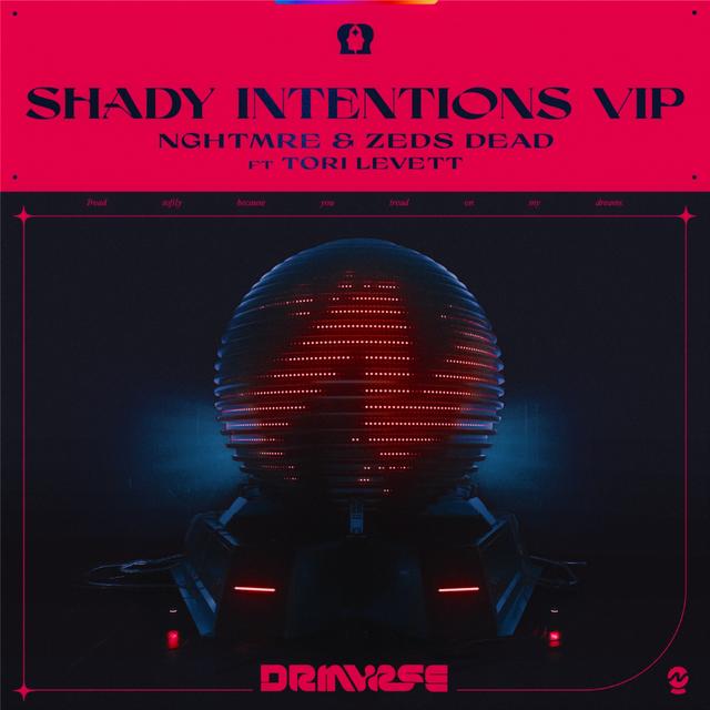 Album cover art for Shady Intentions (VIP)