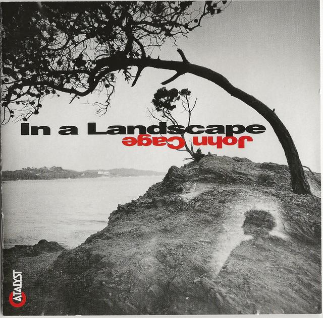 Album cover art for In a landscape