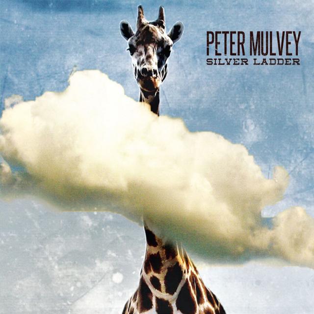 Album cover art for Silver Ladder