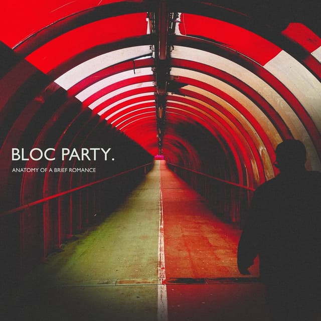 Album cover art for Anatomy Of A Brief Romance
