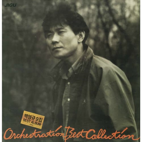 Album cover art for 백영규 9집