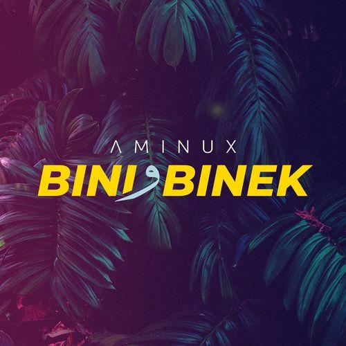 Album cover art for Bini W Binek