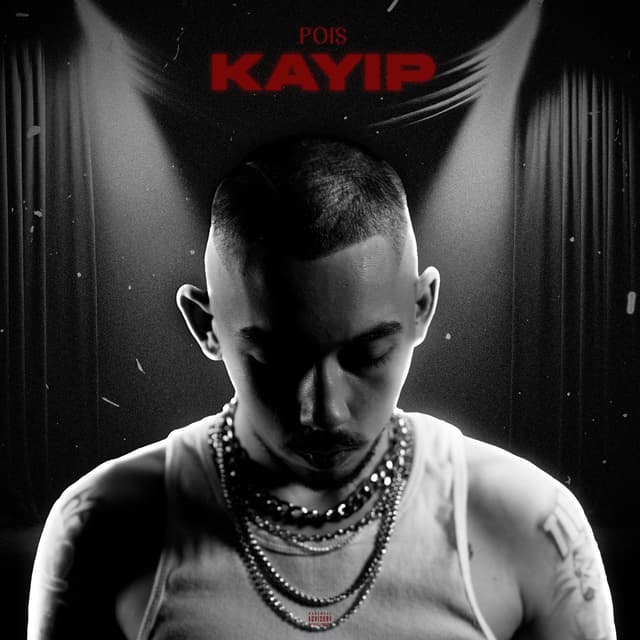 Album cover art for Kayıp