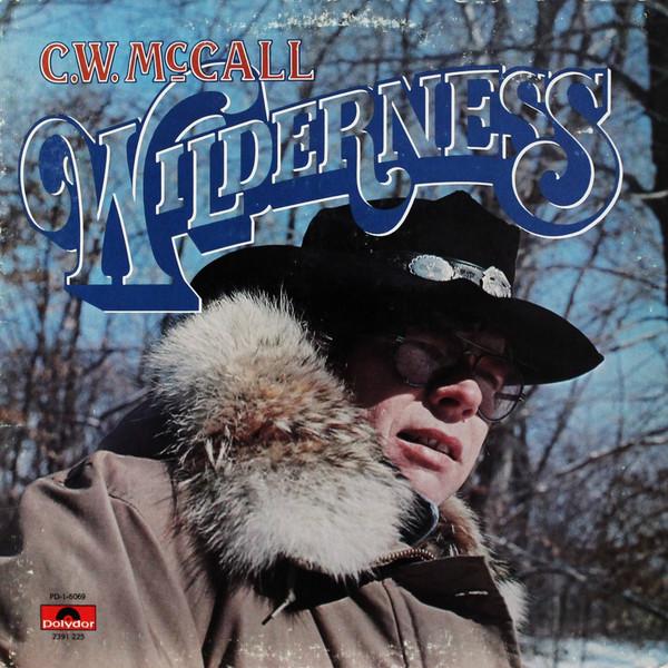 Album cover art for Wilderness