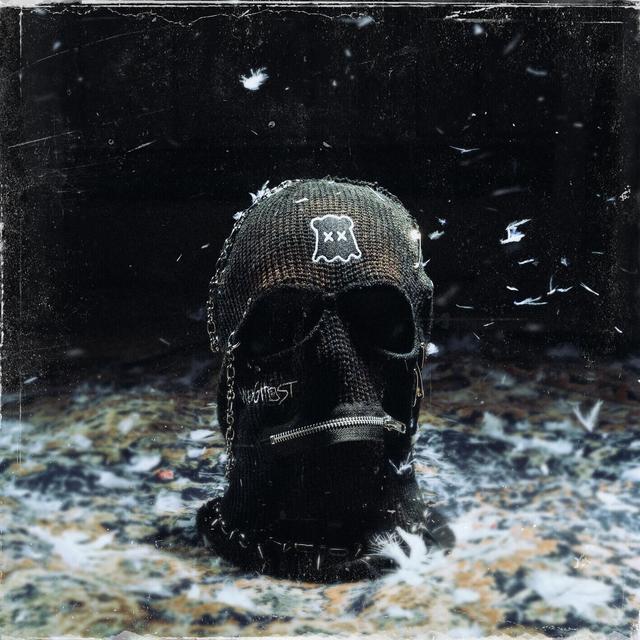 Album cover art for FEVER