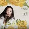 远方的花