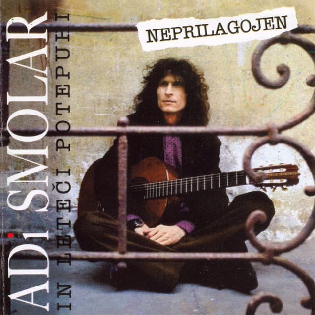 Album cover art for Neprilagojen