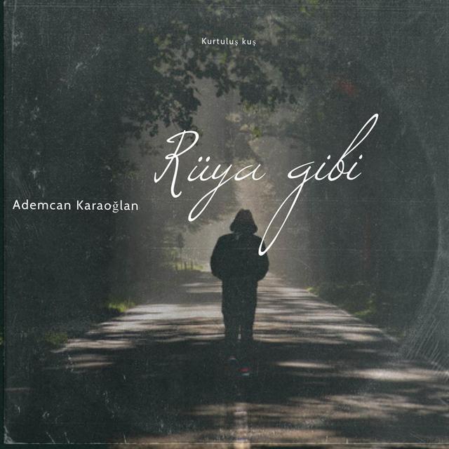 Album cover art for Rüya gibi