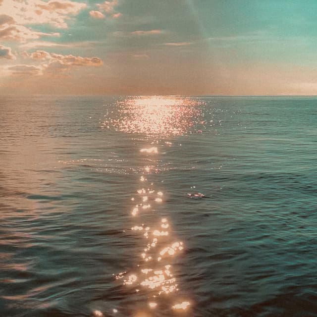 Album cover art for After Summer