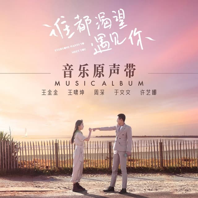 Album cover art for 谁都渴望遇见你 网台剧音乐原声带