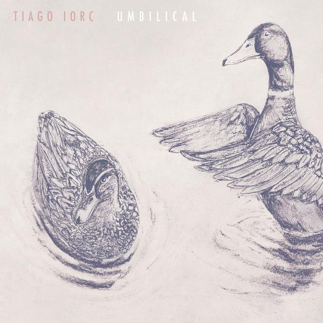 Album cover art for Umbilical