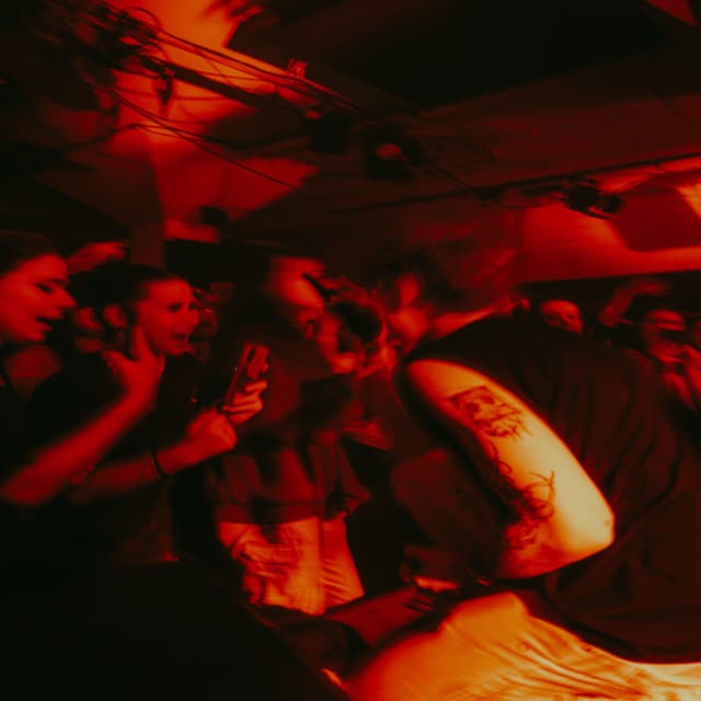 Album cover art for SLEČNÁ SLEČNA