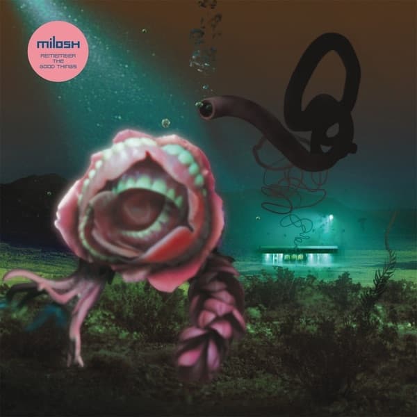 Album cover art for Remember The Good Things