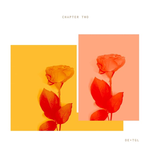 Album cover art for Chapter Two