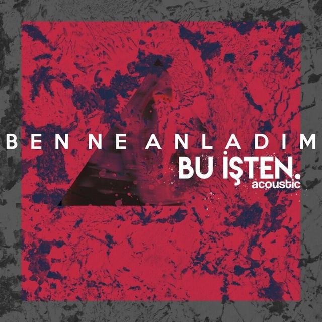 Album cover art for Ben Ne Anladım Bu İşten