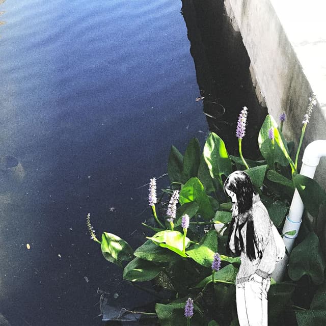 Album cover art for Between Us