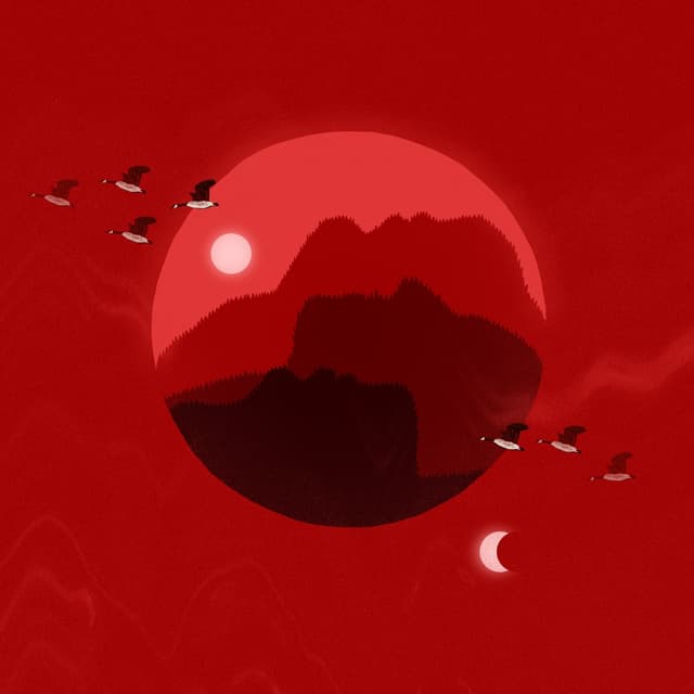 Album cover art for Taueu