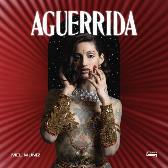 Album cover art for Aguerrida
