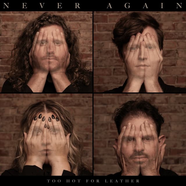 Album cover art for Never Again