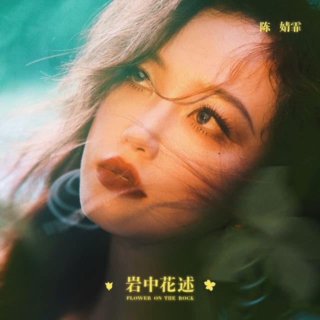Album cover art for 岩中花述