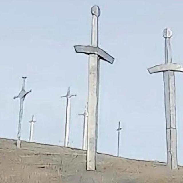 Album cover art for He/Him