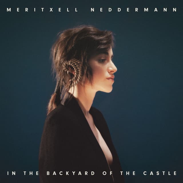 Album cover art for In the Backyard of the Castle