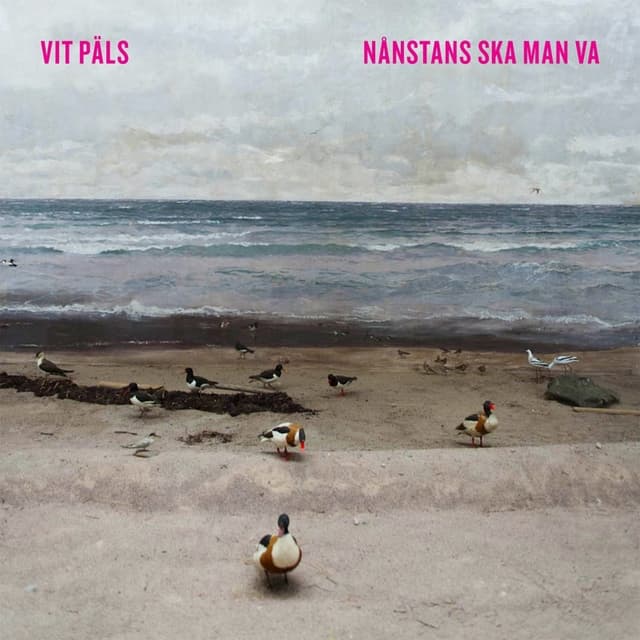 Album cover art for Nånstans ska man va