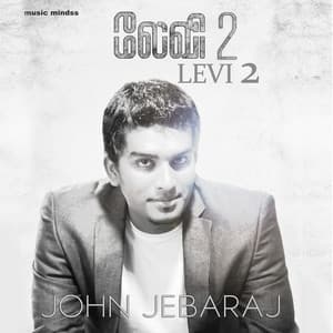 Album cover art for Levi 2