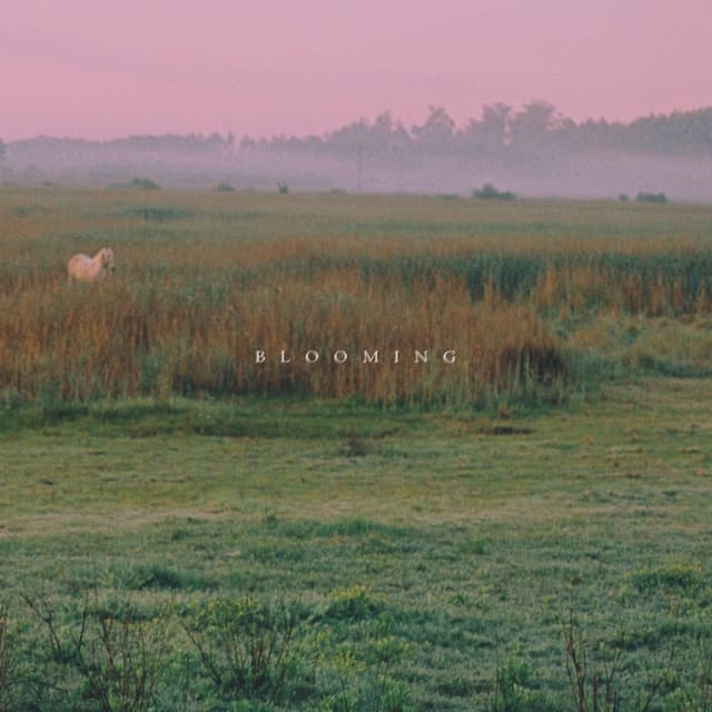 Album cover art for BLOOMING