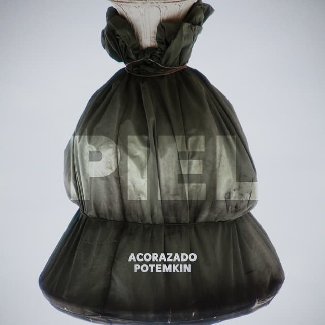 Album cover art for Piel