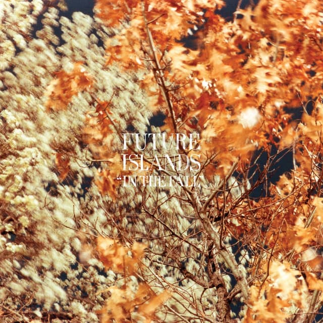 Album cover art for In The Fall