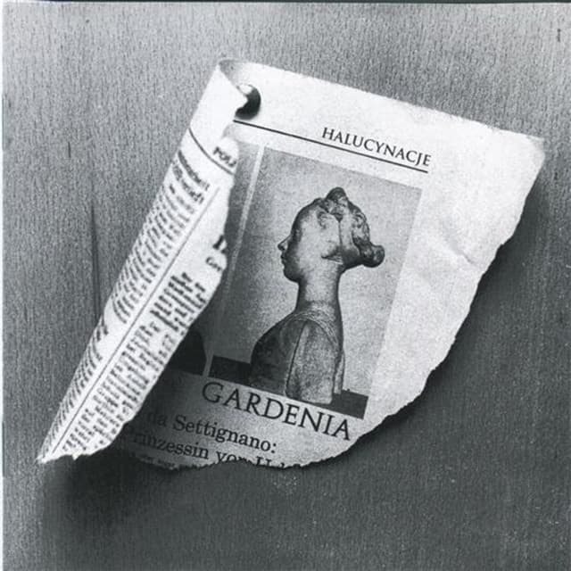 Album cover art for Halucynacje