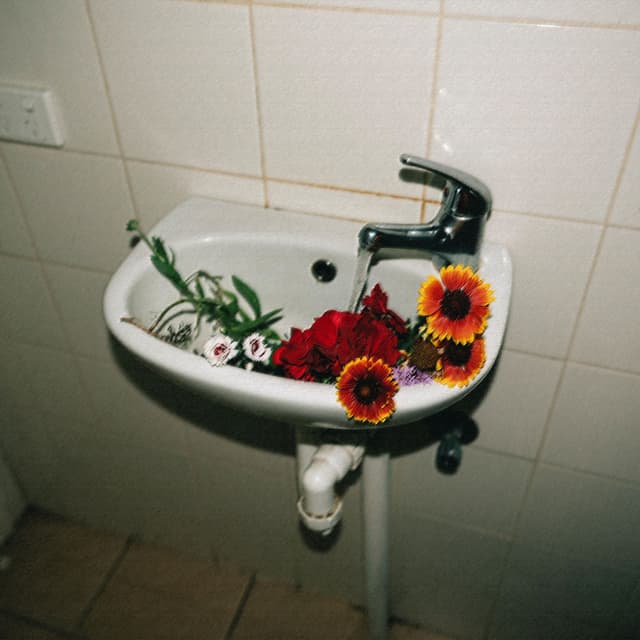 Album cover art for ask me why