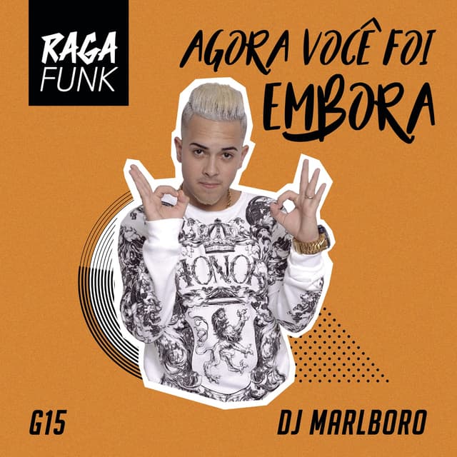 Album cover art for Agora Você Foi Embora