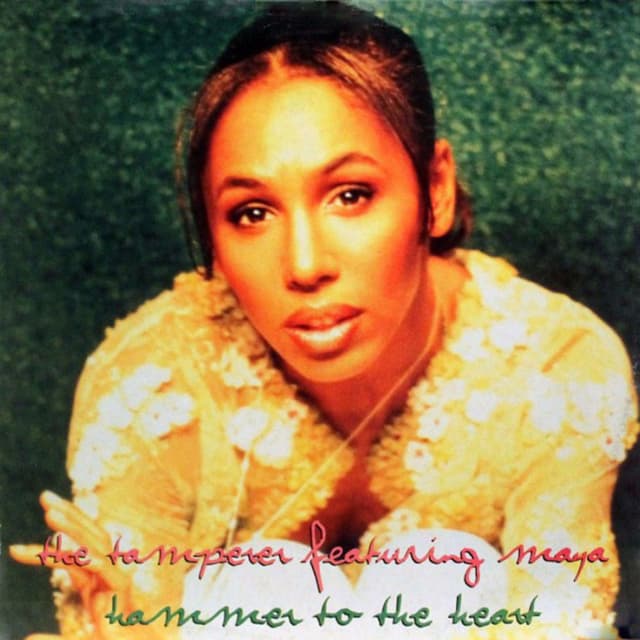 Album cover art for Hammer To The Heart
