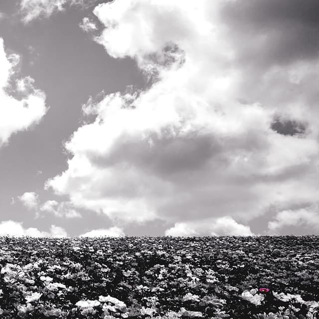 Album cover art for Hananona