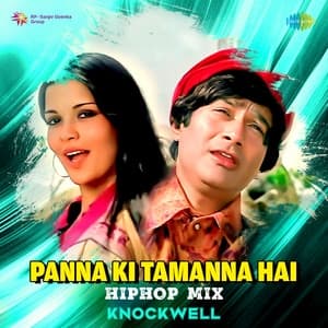 Album cover art for Panna Ki Tamanna Hai - Hiphop Mix