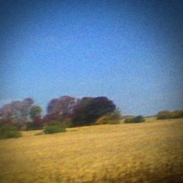 Album cover art for Benji