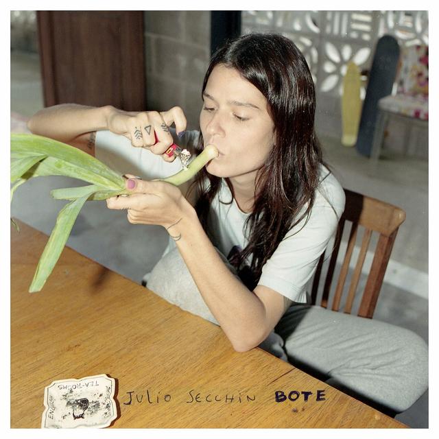 Album cover art for Bote