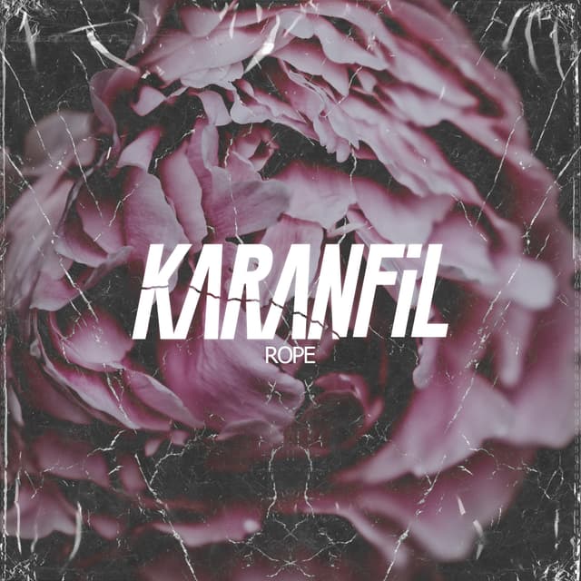 Album cover art for Karanfil