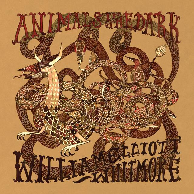 Album cover art for Animals In the Dark