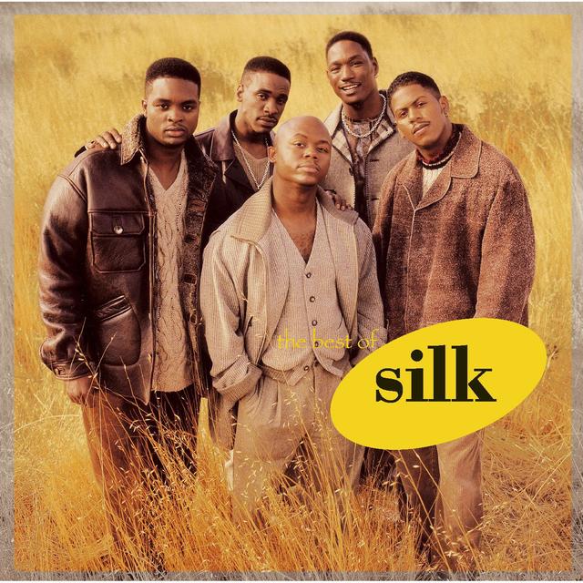 Album cover art for The Best of Silk