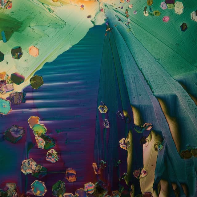 Album cover art for Jay Bird