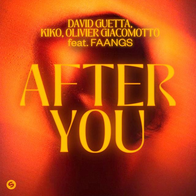 Album cover art for After You