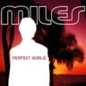 Perfect World