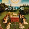 Missa Brevis in D, Op. 63: Agnus Dei