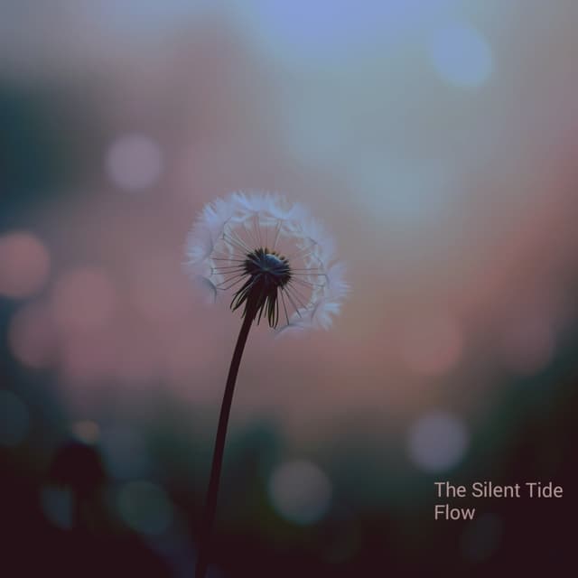 Album cover art for Flow