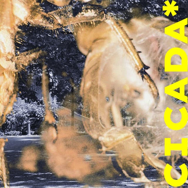 Album cover art for CICADA*