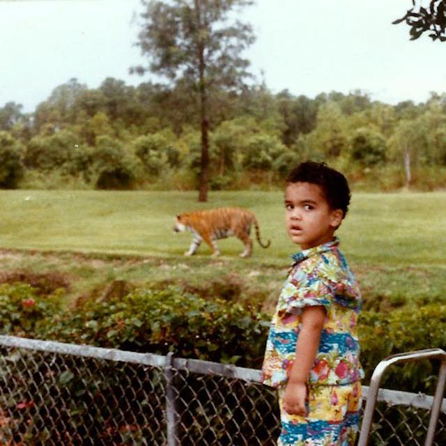 Album cover art for Versiones Para El Tiempo Y La Distancia, Vol. 2