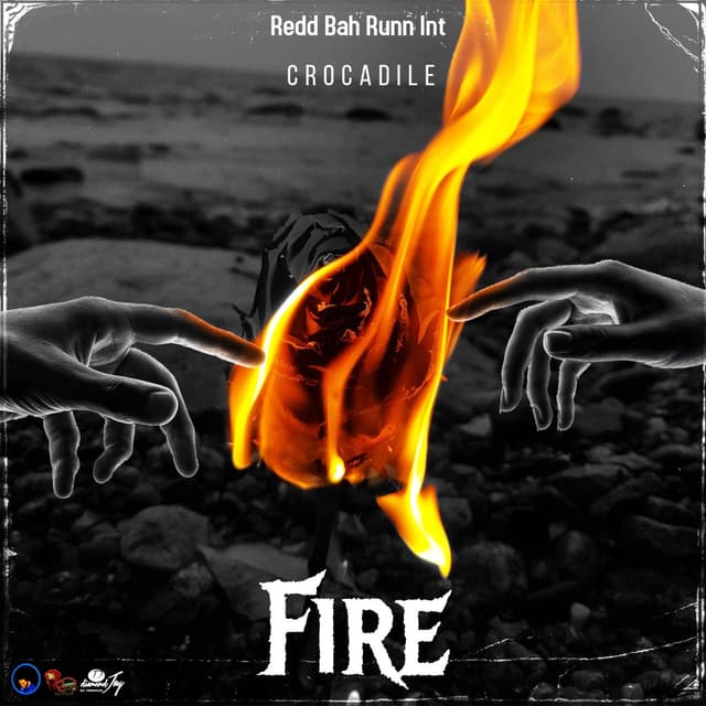 Album cover art for Fire